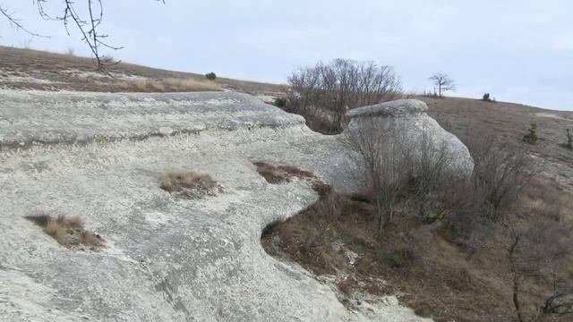 Найдена Гигантская каменная черепаха! смотреть онлайн