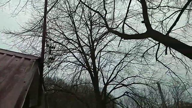 Кровля и её эксплуатация смотреть онлайн