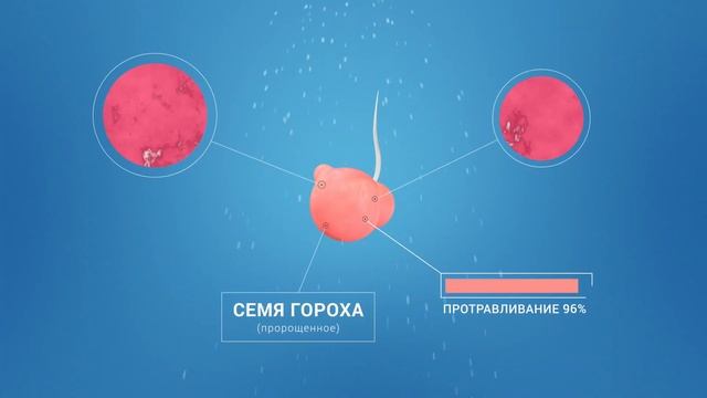 Редиго Про: комбинированный протравитель для зерновых смотреть онлайн