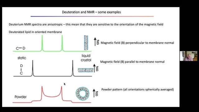 Deuteration can advance NMR to complement structural biology of membranes смотреть онлайн