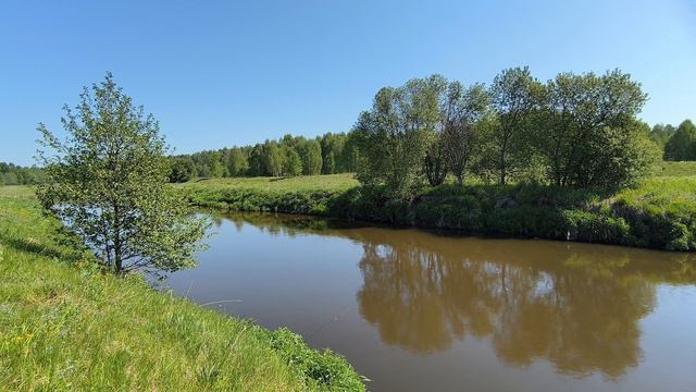 Река Уводь. ч.3. Июнь 2024 смотреть онлайн