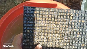 Золото электропомпой с алиэкспресс