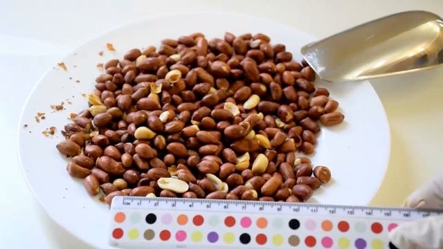 Профессиональная уборка