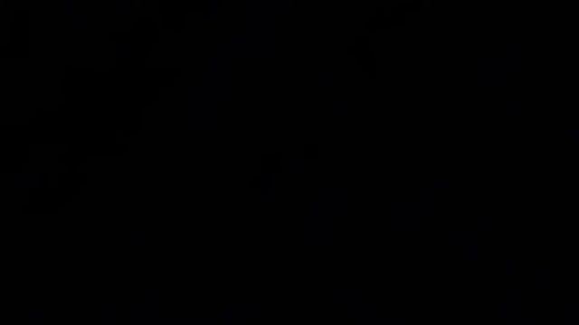 Как нарисовать енота обычным карандашом смотреть онлайн