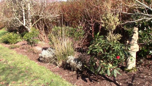 1st Garden Tour of the Year, Douentza in March - new structures, changes & spring wake up смотреть онлайн