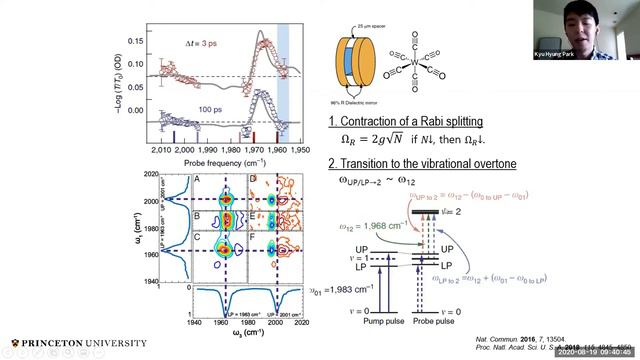 vibrational strong coupling and thermal reactions | Polariton transitions in pump-probe spectroscop смотреть онлайн