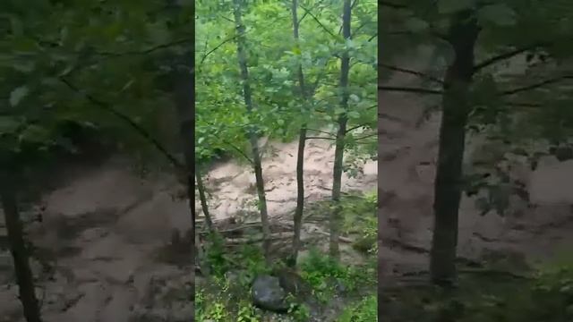Непредсказуемая горная река Хул Хула в Чечне 05.06.23