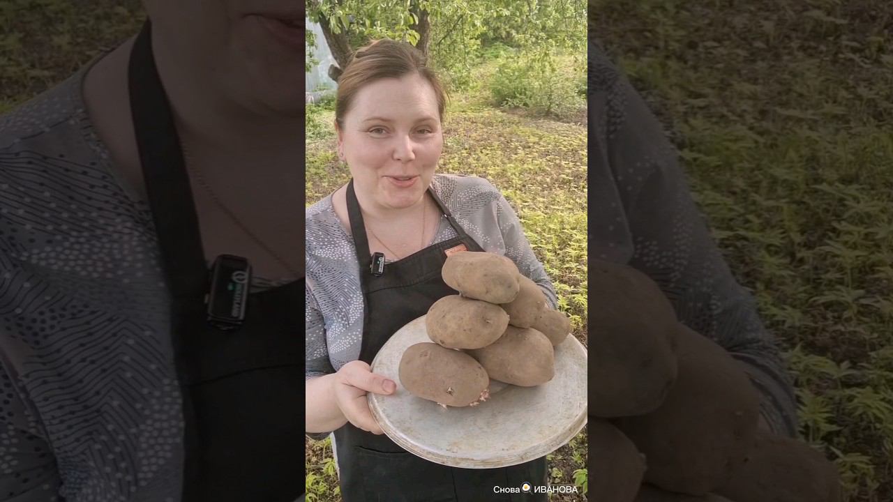 Крошка #картошка #рецепт #готовимдома