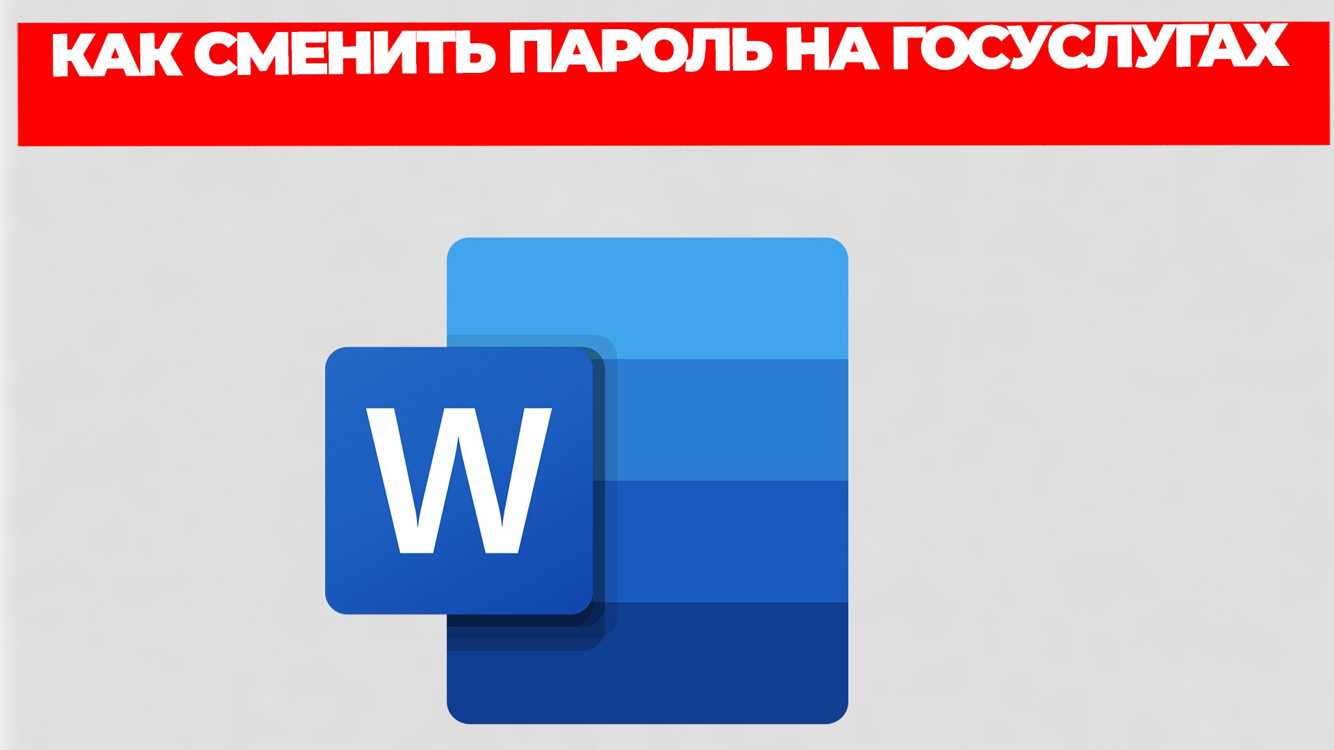 Всезнающий Енот