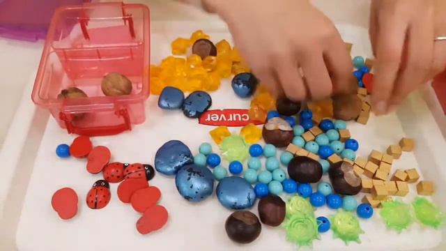 Сенсорное развитие смотреть онлайн