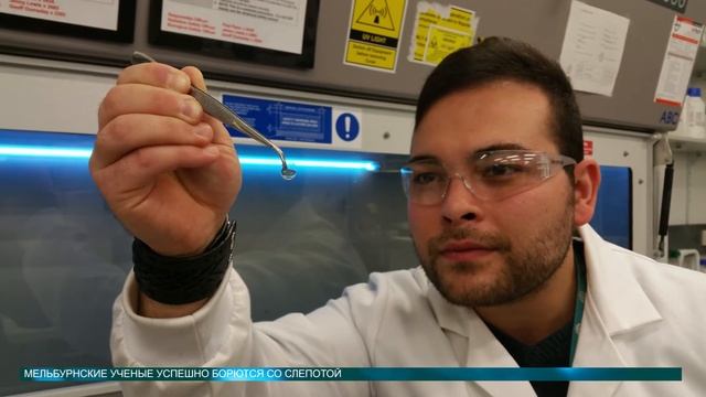 Новости науки от 05.09.2016 (исцеление слепоты) смотреть онлайн