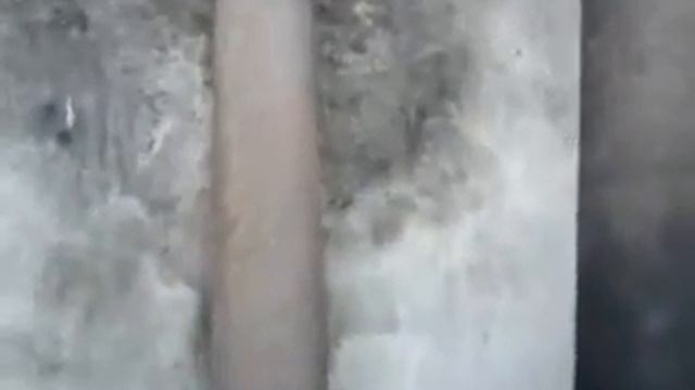 Бубафония дымит. смотреть онлайн