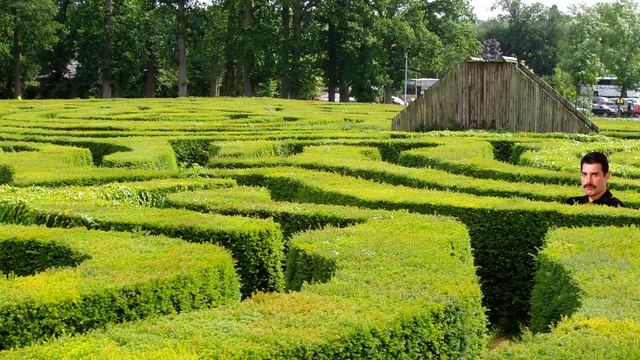 Freddie Mercury Runs Around In A Hedge Maze and Gets Lost (ASMR) смотреть онлайн