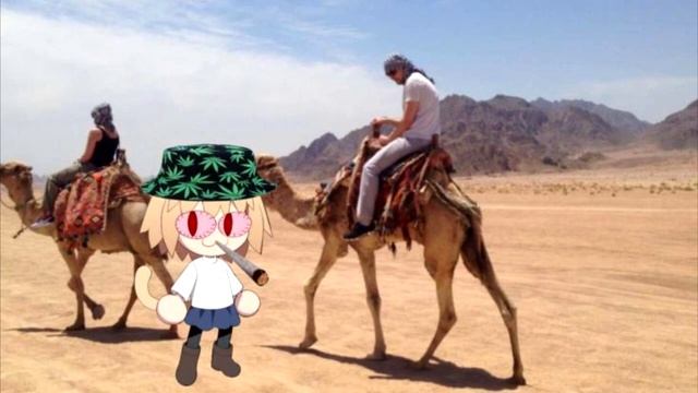 Неко Арк ведёт караван из Ирана (ai Cover)