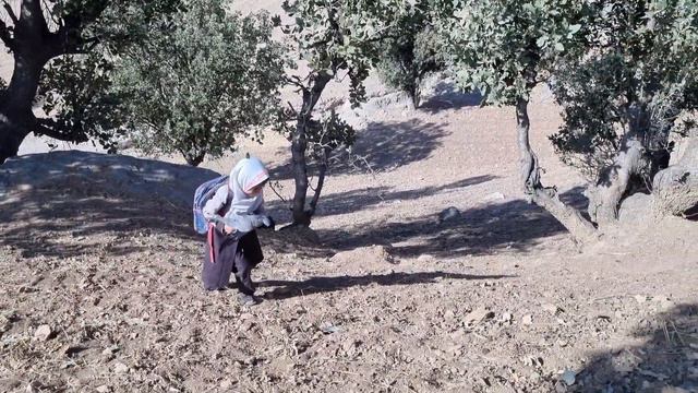 Wild bandit: fight with the bandit to save the life of the wounded animal смотреть онлайн