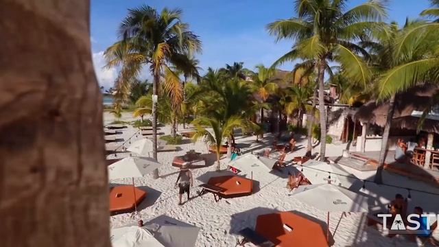 Green Demon Beach Club on Playa Norte Isla Mujeres Mexico смотреть онлайн