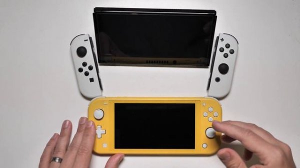 Switch OLED vs Switch Lite | Very Long Term Review