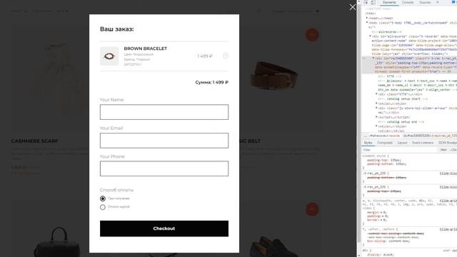 Как из блока магазина вызвать форму (стилизуем корзину как обычную форму) - Live-CSS-12 смотреть онлайн