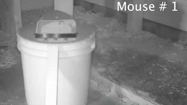 Гуманная мышеловка смотреть онлайн