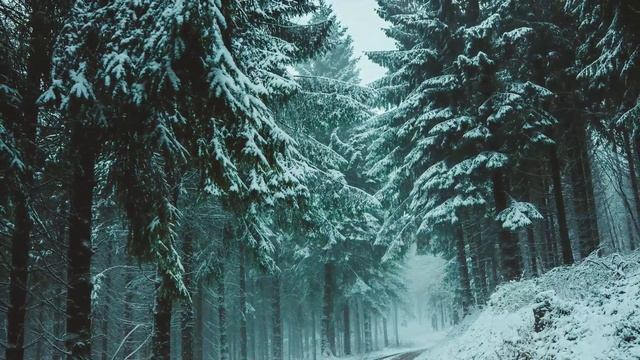 Нежная мелодия замедляет ритм времени,успокаивает нервную систему,глубоко расслабляет!Сергей Чекали смотреть онлайн