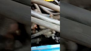 Замена датчика температуры, дв. 4216