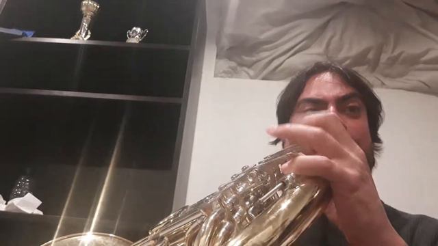 Franz Strauss Horn Concerto in C minor Op. 8 - Finale Angelo Piazzini смотреть онлайн
