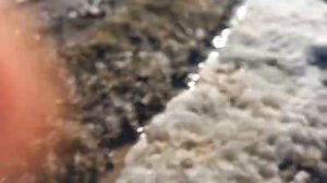 тигуан 2022 на бездорожье