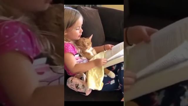 Сказка на ночь смотреть онлайн