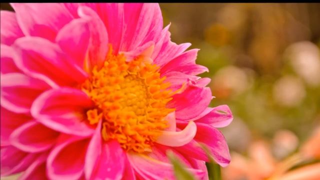nikon d5000 photography 18-55mm lens смотреть онлайн