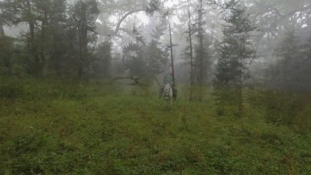 И снова ВЕРХНИЙ АНОС, проводник Евгений, прекрасные кони, вершина Мира. Горный Алтай 14 августа смотреть онлайн