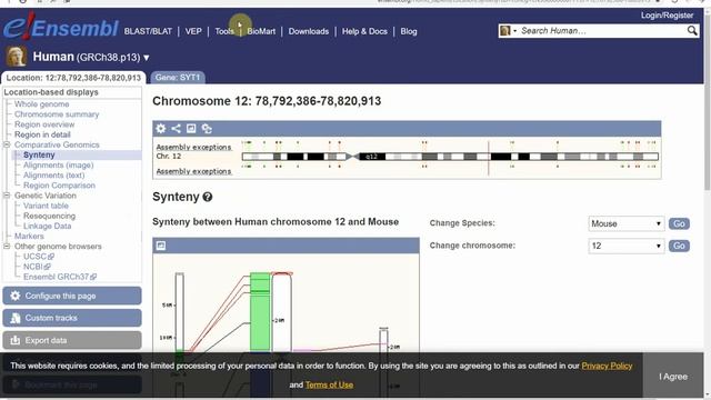 Quantitative Biological Research with Python - Lesson 3, Lecture - Genome Browsers смотреть онлайн