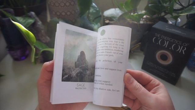 The Energetics of Color ??? Indie Oracle Deck Unboxing смотреть онлайн
