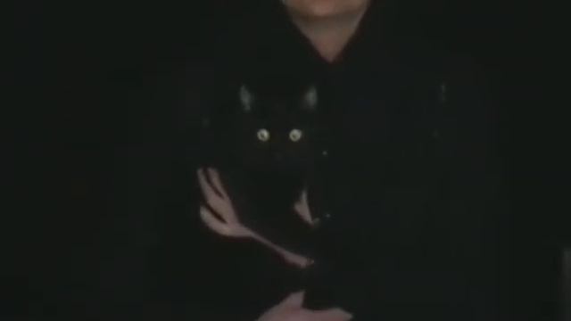 Фунтик смотреть онлайн