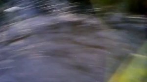 Рыбалка на вентиль Халявная рыбка