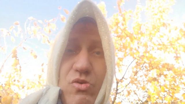 Поросль побеги слива отводки смотреть онлайн