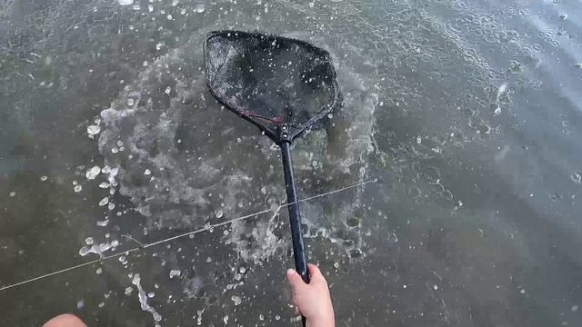 Ловля сазана на жмых смотреть онлайн