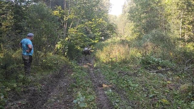 Самодельный квадроцикл 4×4 с двигателем от ваз 2110 смотреть онлайн