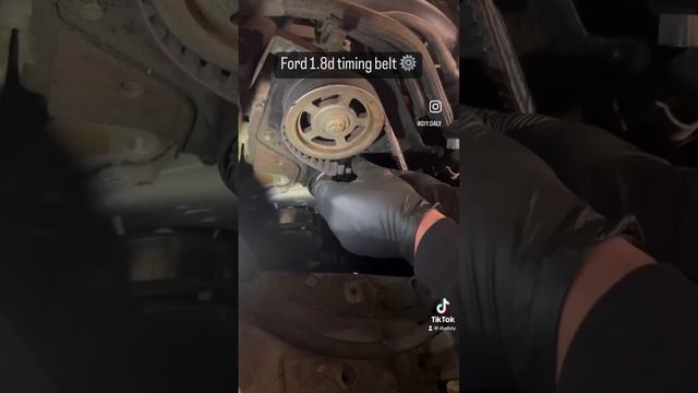 Ford 1.8d timing belt replacement ✅ #timingbelt #cambelt #timingbelts #fordconnect #mechanic смотреть онлайн