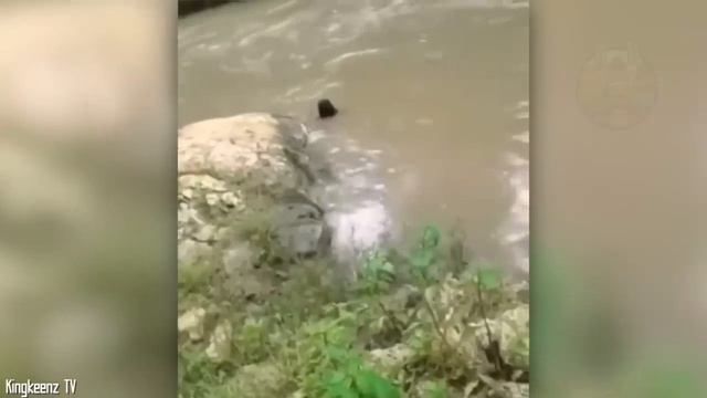Ce pêcheur a capturé ce que personne n’était censé Voir смотреть онлайн