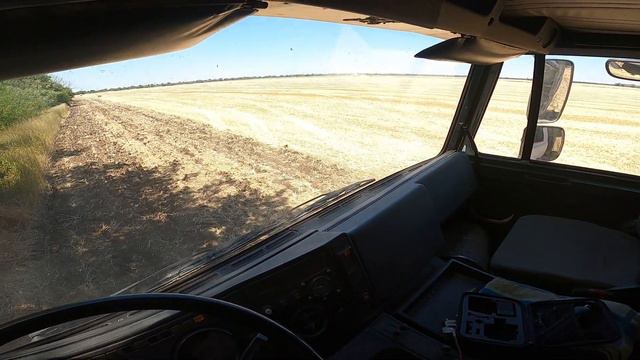 Уборка урожая 2022 Еду до КОМБАЙНА на МАЗе смотреть онлайн