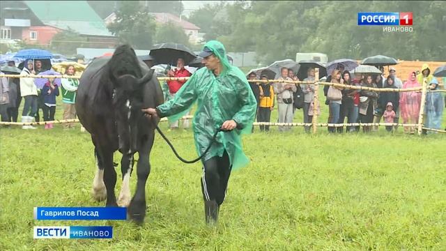 В Гавриловом Посаде прошел праздник русских традиций смотреть онлайн