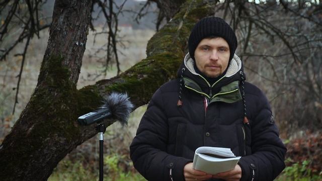 Что такое протокол об административном правонарушении? Что такое протокол по КоАП? смотреть онлайн