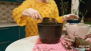 СПАСЕНИЕ-РЕАНИМАЦИЯ НОЛИНЫ!
#спасениеНолина