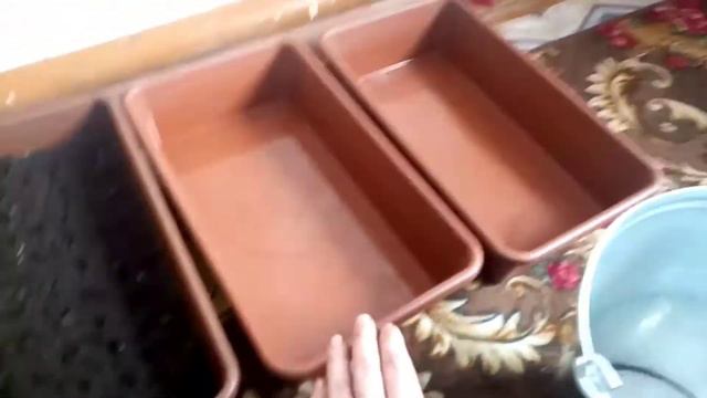 Начинающие садоводы ))) смотреть онлайн