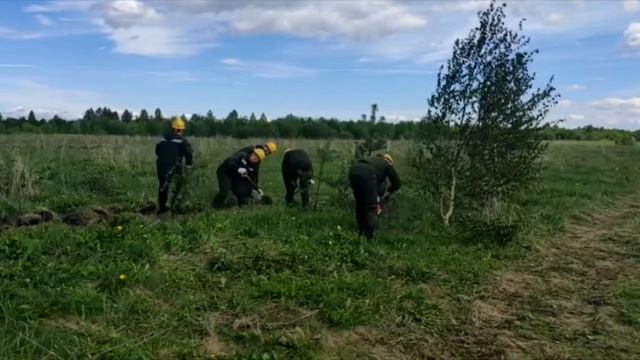 Межведомственные учения по тушению лесных пожаров Белозерск смотреть онлайн