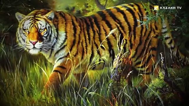 Загадки и сила Туранского тигра смотреть онлайн