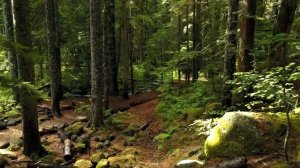 ЗЯТЬ И ТЁЩА С СЕСТРОЙ БЛИЗНЯШКОЙ / Интересные истории измен, аудио рассказ