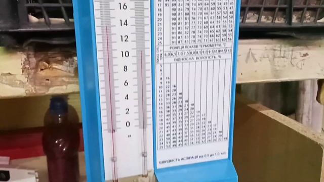 Выращивание тюльпанов к 8 МАРТА 15 02 2021 смотреть онлайн