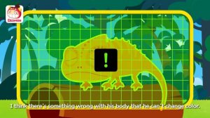 Save the Chameleon | Animal Rescue Team | with alan | REDMON