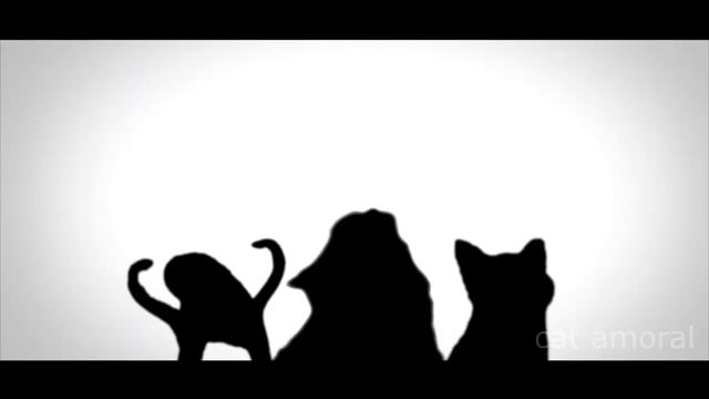 Astronomia - Coffin Dance Meme - Cat Cover #5